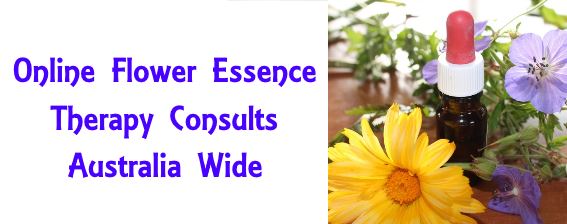 Online FLower Essence Therapy Consults AUstralia Wide