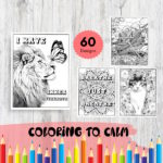 Adult coloring book for relaxation and stress relief coloring to calm anxiety relief stasia petralia