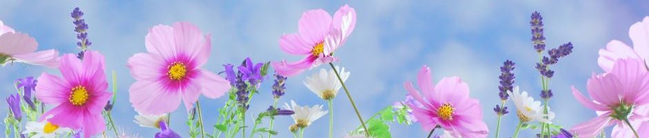 Flower Essences for All People and All Pets